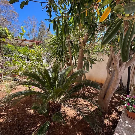 Apartment Da Silvia, A Due Passi Dal Mare